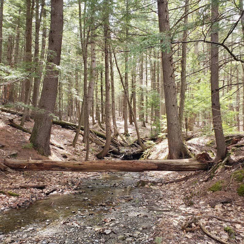 Debe Park Trails - Image 2