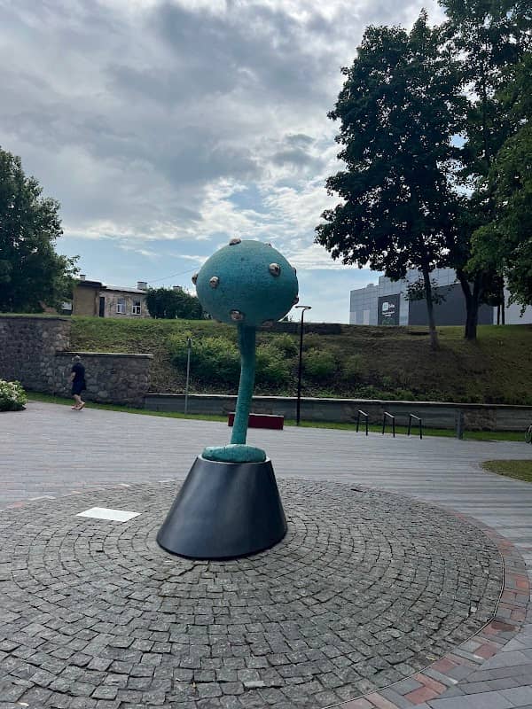 Krodera ābele - Image 1