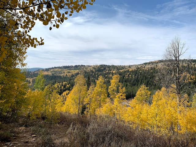 Bridger Peak Trailhead - Image 1