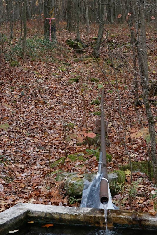 Gardner Hill Natural Water Spring - Image 2
