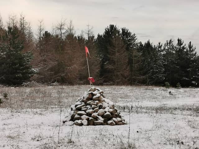 The Cairn (Edlington Pitwood) - Image 1