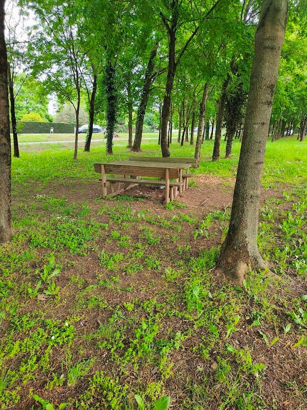 Parco Percorso Vita - Image 1