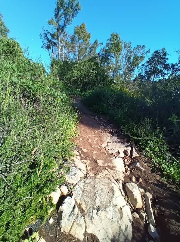 Park - Image 1