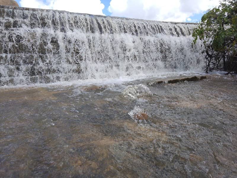 Nagaragere Lake - Image 1