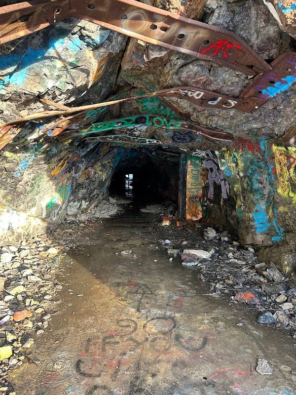 Green Door Tunnel - Image 1