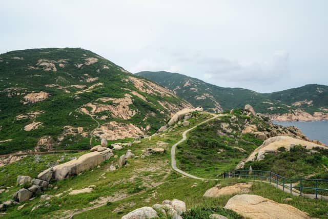 Tortoise Rock - Image 1