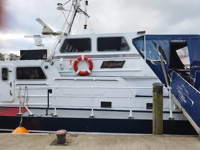 Schiff Rugard - Image 2