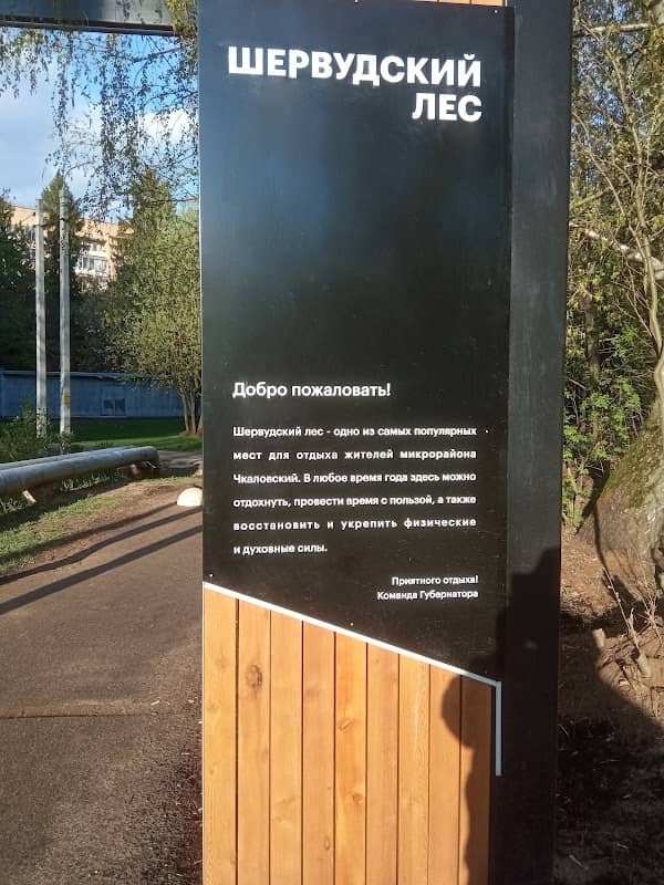 Shervudskiy Les - Image 1