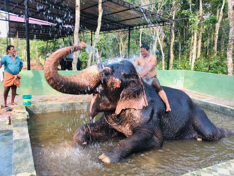 Elephant Junction Thekkady - Image 1