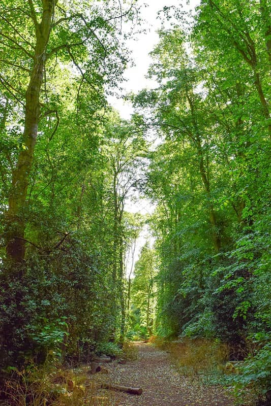 Finedon Pocket Park - Image 1