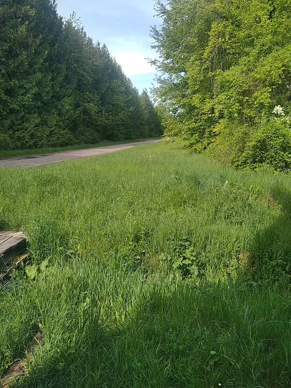 Office National des Forêts (O.N.F) - Bois De Haye - Image 1