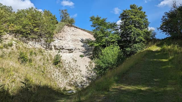 Vokslev Kalkgrav - Image 1