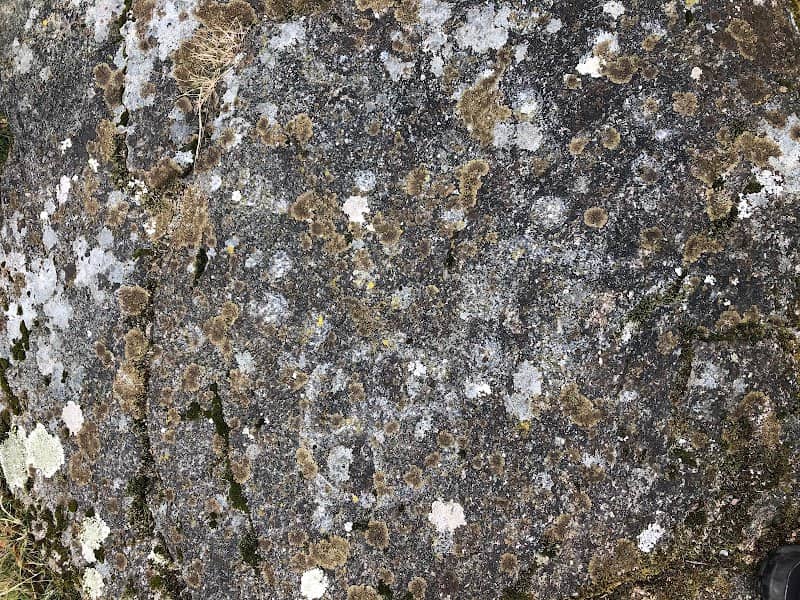Spandelstorp rock carving - Image 1