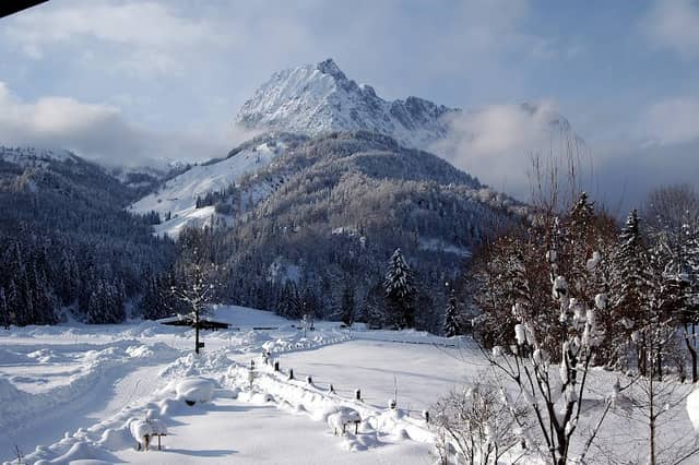 Kleinkaiser - Image 1