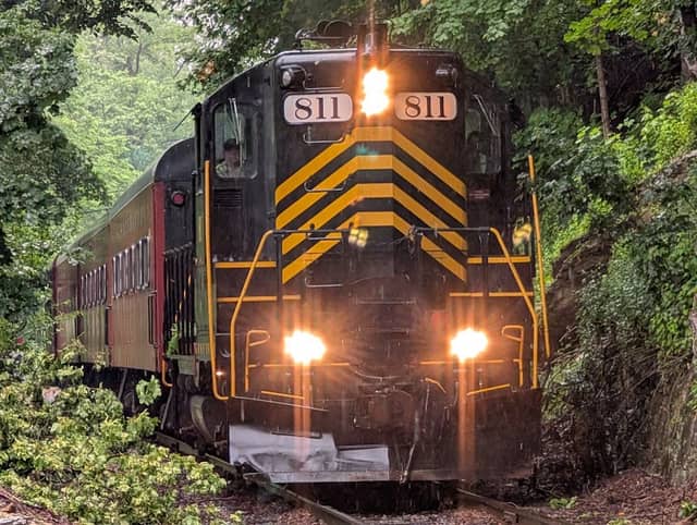 Delaware River Railroad Excursions - Image 2