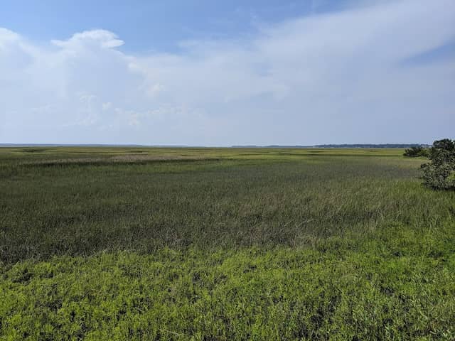 Drummond Point Park - Image 1