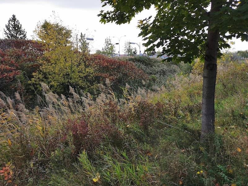 Parc de Lisbonne - Image 2