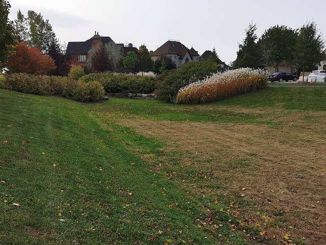 Parc de Lisbonne - Image 1