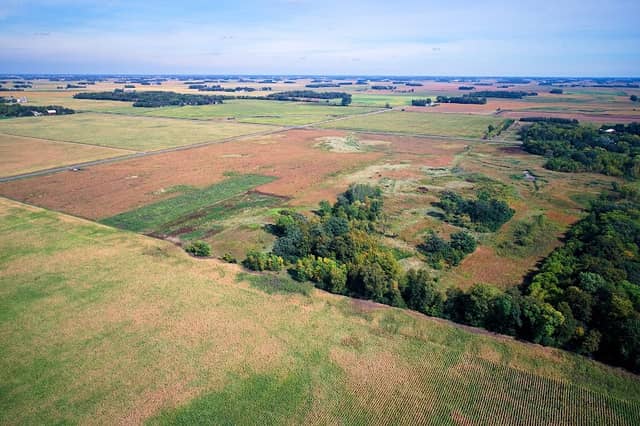 Severance Lake Wildlife Management Area - Hamburg/Oelfke - Image 1