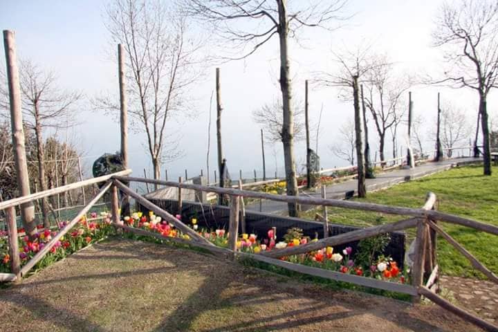 Giardino Schettinus - Image 1