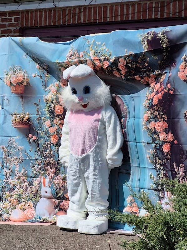 Little Bear Garden - Image 1
