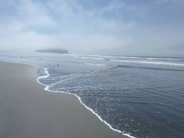 Morro Estuary Natural Preserve - Image 3