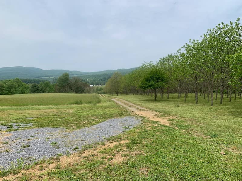 TriMountainView Campground - Image 2