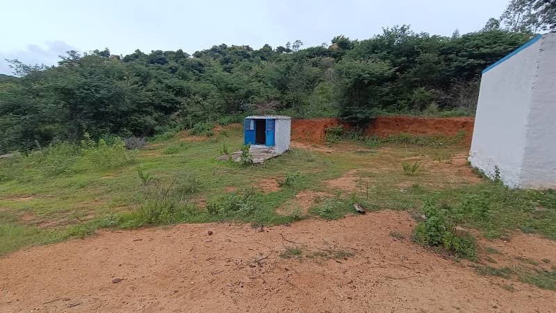 Avalukonda temple - Image 1