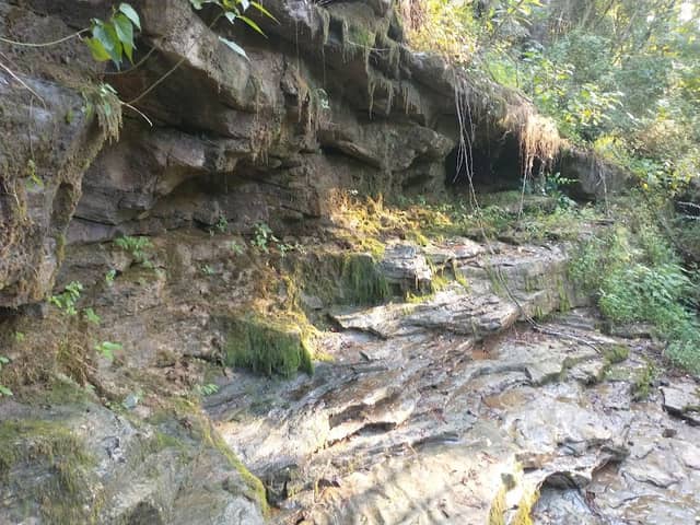 Black Creek Walking Trail - Image 2