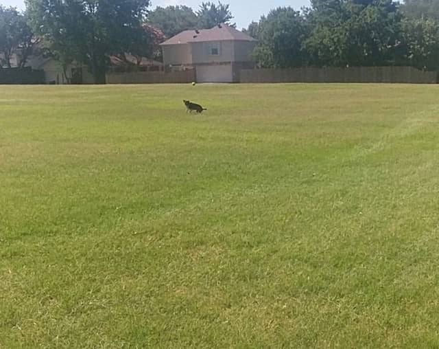 Cottonwood Bend Park - Image 1