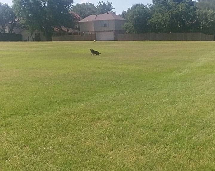 Cottonwood Bend Park - Image 1