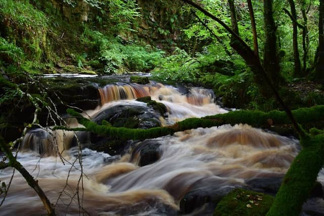Sloughan Glen Waterfall - Image 1