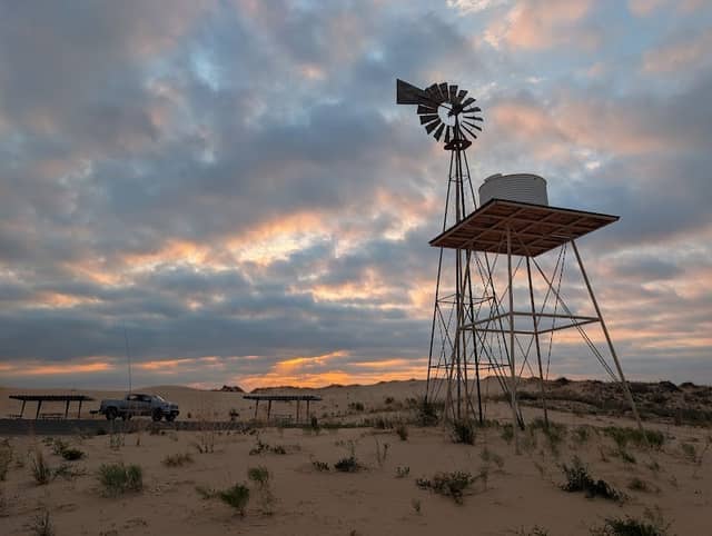 Monahans Sandhills State Park - Image 1