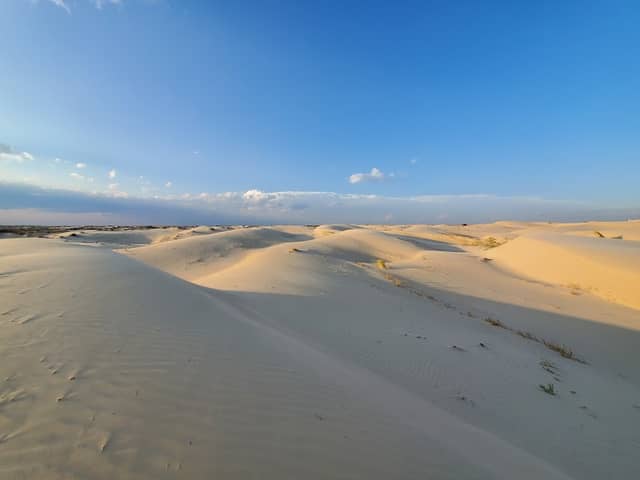 Monahans Sandhills State Park - Image 3