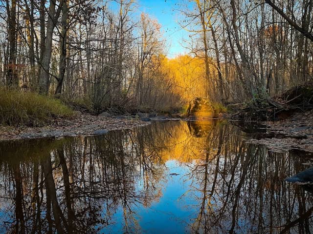 Rum River State Forest - Image 2