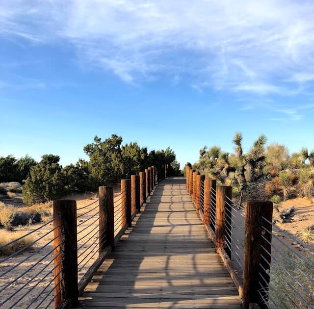 Prime Desert Woodland Preserve - Image 5