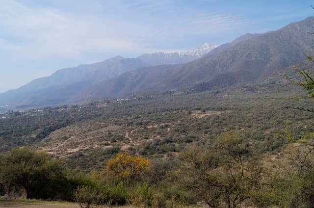Bosque Panul - Image 1