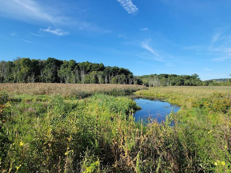Sussex Branch Trail - Trinity St. Area - Image 1