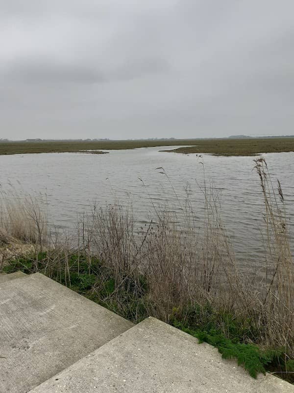 Midpoint of Texel - Image 3
