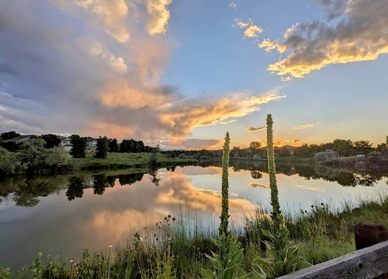 Lambertson Lakes Open Space - Image 3