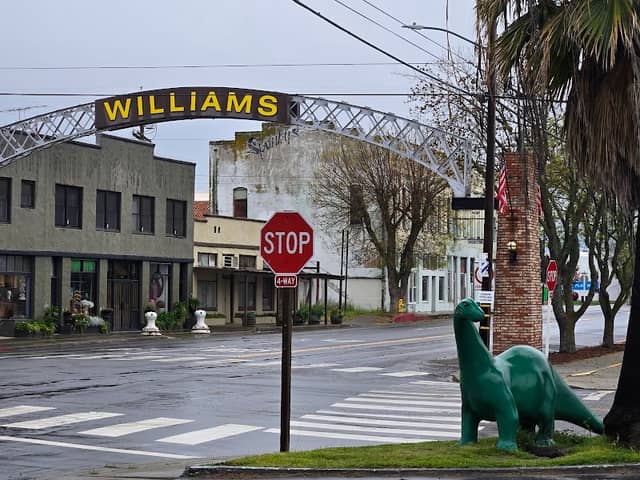 Williams welcome arch - Image 1