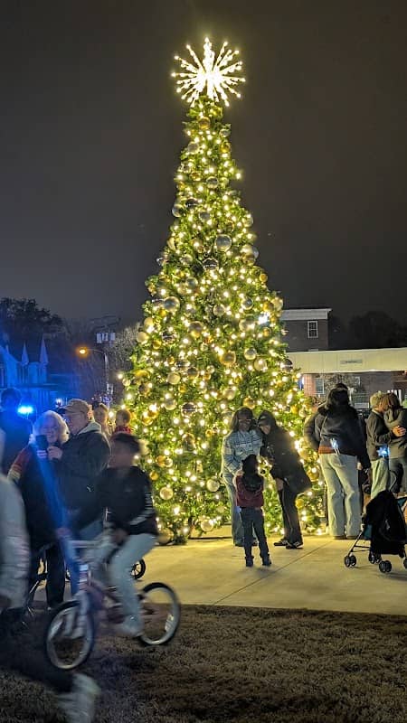 Downtown Festival Park - Image 2