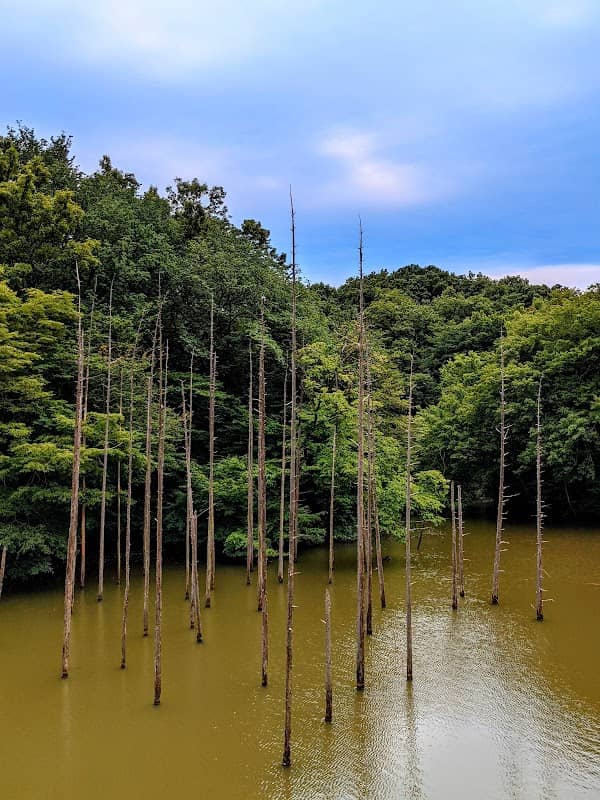 Oyamadairi Park - Image 1