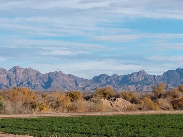 Cibola National Wildlife Refuge - Image 1