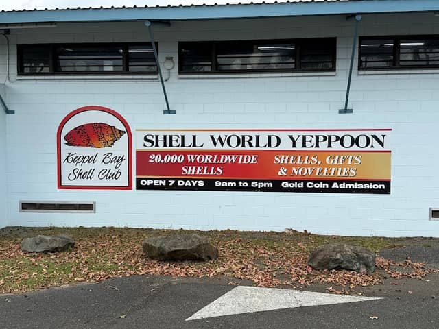 Shell World - Image 1