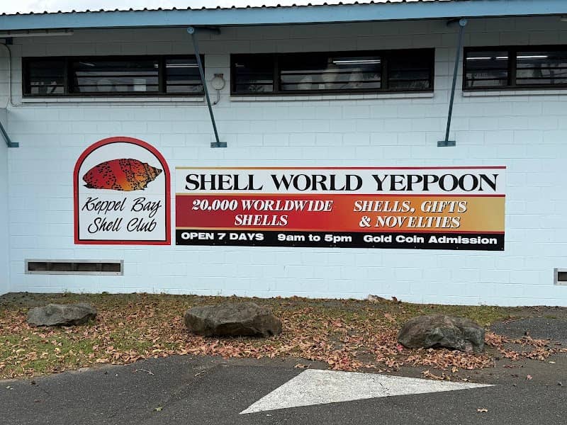 Shell World - Image 1