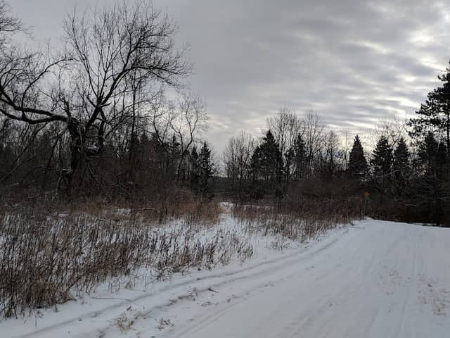 Kewaskum Maple-Oak Woods State Natural Area - Image 2