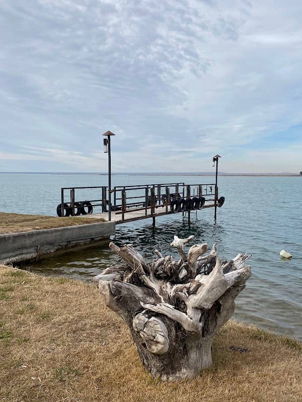 Península Lago Pellegrini - Image 2