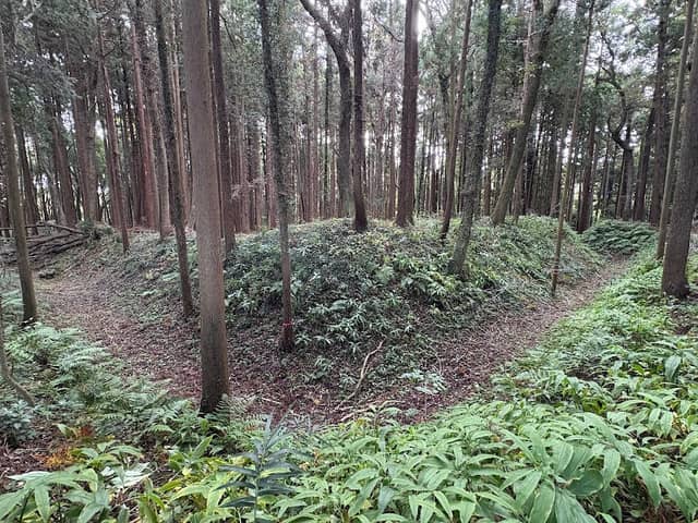 南酒出城跡 - Image 1