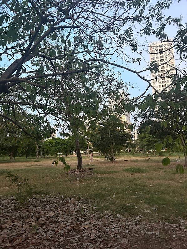 Saigon Wonderland Park - Image 2